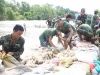 Chống lũ