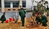 NHÂN ĐÔI MÙA XUÂN