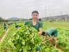 Tiểu đoàn 12 đẩy mạnh công tác tăng gia sản xuất