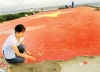 Thiêng liêng lá cờ Tổ quốc giữa biển khơi