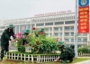 Sôi nổi các hoạt động chào mừng kỷ niệm 90 năm Ngày thành lập Đoàn Thanh niên Cộng sản Hồ Chí Minh