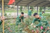 Những kết quả tích cực của tuổi trẻ Tiểu đoàn 5  trong Tháng Thanh niên năm 2026