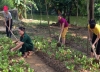 Cảm xúc phụ nữ tháng 10